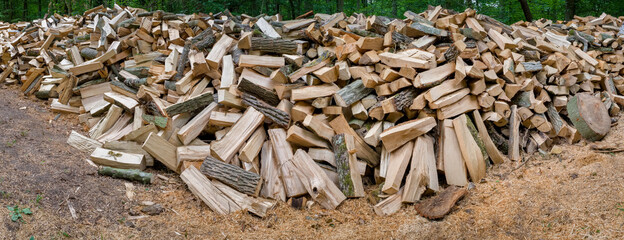 Coupe de bois de chauffage en forêt