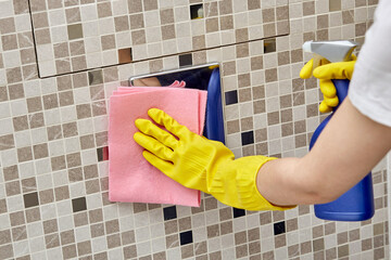 In the hands of a spray with household chemicals and a rag for cleaning.