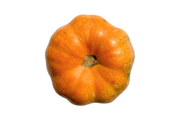 Fresh orange pumpkin isolated on white background. Top view. Raw whole mini pumpkin.