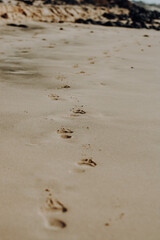 Footprints in the yellow brown sand beach of Esquinzo, Fuerteventura Spain. Landscape tourism and traveling photography.