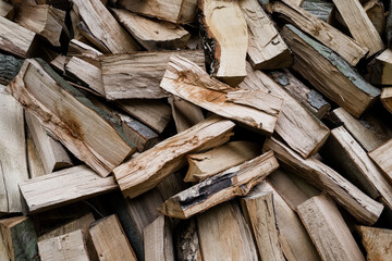 Coupe de bois de chauffage en forêt