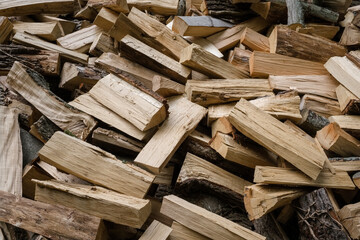 Coupe de bois de chauffage en forêt