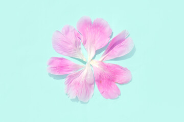 Background Of Their Petals Of Pink Peonies. Idea for a greeting card.