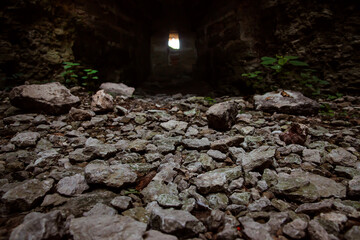 Plants and stones on the floor of a tower of the medieval fortress Koporye close up