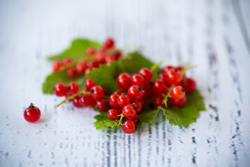 ripe summer berry red currant on a wooden