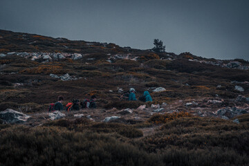 Grupo de amigos subiendo una montaña caminando entre senderos