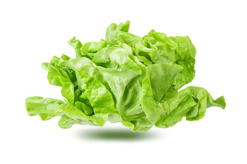 Fresh lettuce isolated on white background