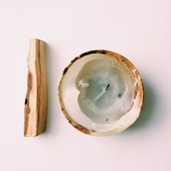 The sacred wood Palo Santo