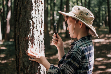 Boy biologist or entomologist studies nature. Scout in the forest. A teenager studies insects. Biology. Geology. Expedition in the forest. - obrazy, fototapety, plakaty
