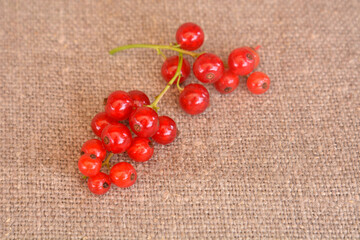 branch of red berries red currant on a linen background. Vitamins