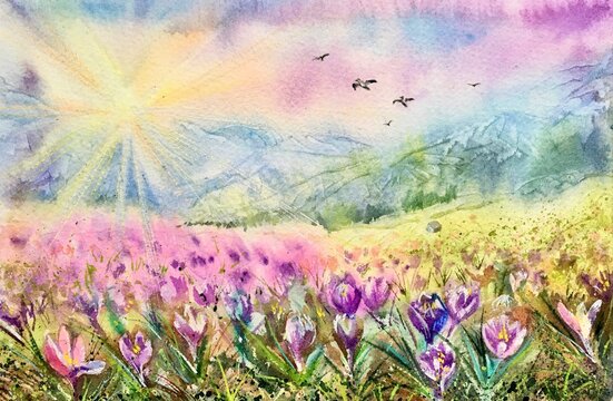 Watercolor meadows with snowdrops. Panorama of alpine mountains. Flowers violet crocuses ( Crocus heuffelianus ).  Landscape background and golden light in spring. 