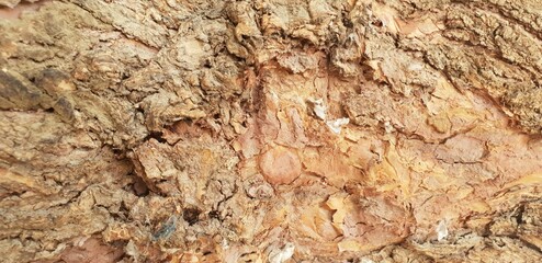 wood texture wall abstract brown surface