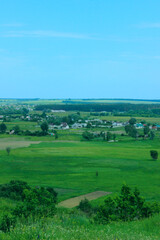Obraz premium Blurry image of green field and blue sky background, vertical view. Landscape, nature, farmland concept. Nature Background.