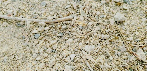 stone on the ground abstract wall