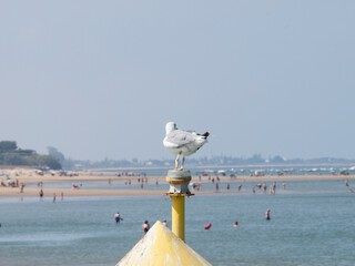 costa de cadiz en andalucía en españa