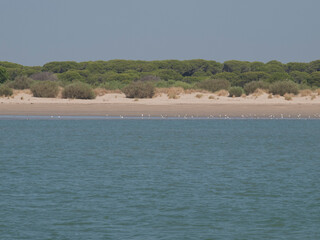 couple bathing on a desert island