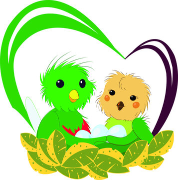 
QUETZALES COUPLE, Vector cute, quetzal bird for children, illustration isolated on white