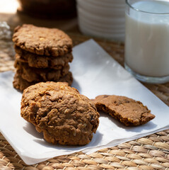 Chocolate cookies  with glass of milk