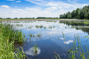 Alberta farmland landscape