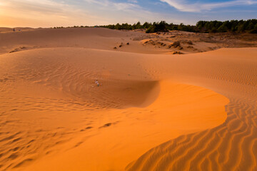 Fototapeta na wymiar Litter in vietnamese Red sand dunes
