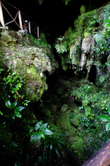 landscapes of the Peruvian Amazon
