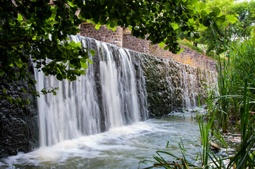 
stone dam waterfall and green leaves