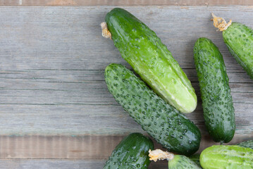 cucumber harvest on a wooden background