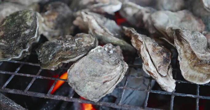 oysters are on fire