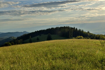 Obraz premium Frühlingslandschaft bei Münstertal auf dem Schauinsland