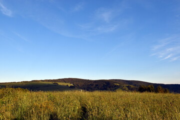 Frühlingslandschaft bei Münstertal auf dem Schauinsland