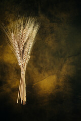 Wheat  spike on vintage yellow background