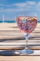 Red algae or seaweed in wineglass. The glass with the algae on a blurred blue sky and beach. Shallow depth of field