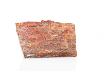 macro stone mineral petrified wood on a white background