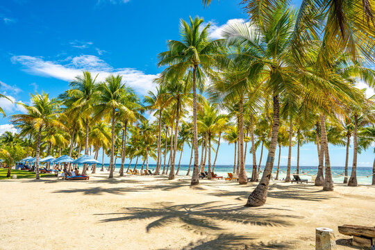 Bohol, Philippines - December 27, 2019: White sand tropical beach of Bohol, Philiipines