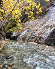The Narrows in Zion National Park