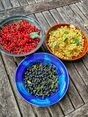 Different currant berries on a table