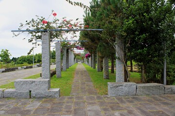 Azores islands of portugal garden