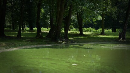 Kamieniec Ząbkowicki. Park.