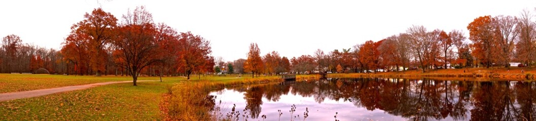 reflection of trees in the lake