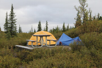 Two backpack tents set up in the brush behind a picnic table in Denali National Park, Alaska on a cloudy day.