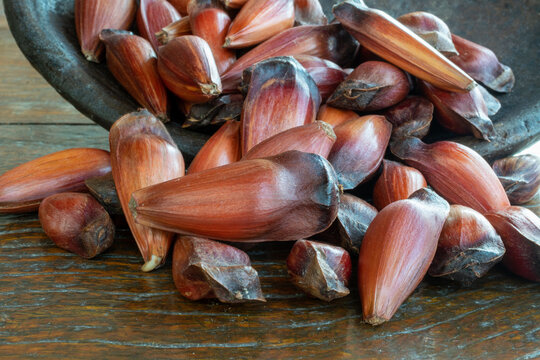 รูปภาพPinho เลือกดูภาพถ่ายสต็อก เวกเตอร์ และวิดีโอ148 Adobe Stock