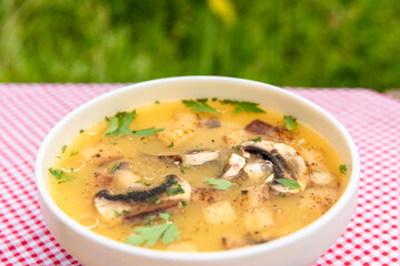 Vegetarian potato soup with mushrooms and croutons in the open air.