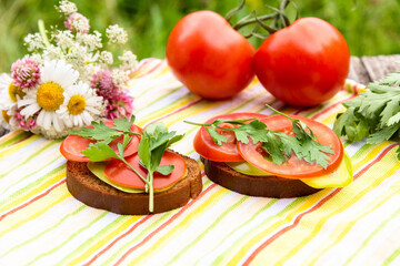 Bread with tomatoes and herbs. Vegetarian sandwich for Breakfast in the open air.