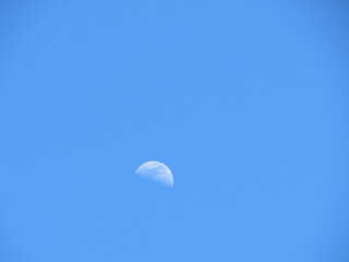 moon in the sky