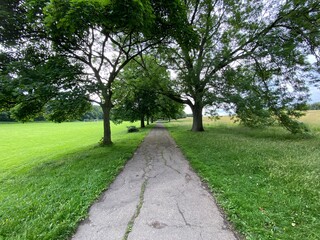Fototapeta premium Footpath, with old trees, and a football field on the left in, Northcliffe Park, Bradford, UK