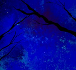 blue sky at night background with black tree branch 