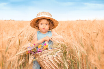 little cute girl in a straw hat and a blue dress among a golden wheat field
