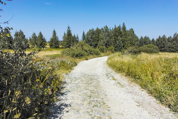 Autumn landscape of Vitosha Mountain, Bulgaria