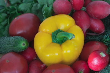 SWEET BELL PEPPER AND THE VEGETABLES