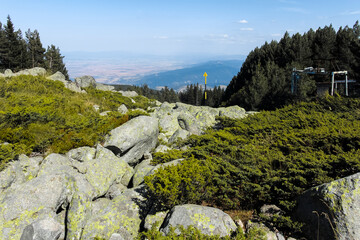 Autumn landscape of Vitosha Mountain, Bulgaria
